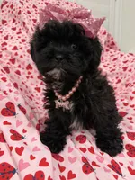 processed/29842ebf-eb62-4ff0-bb4e-a184498aef5b/listing/4d0f8d9e-d1ff-49a9-ab96-4b571a524e15/83c52a1b-87c5-4fbb-84de-aba92467927d