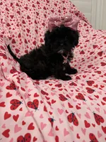 processed/29842ebf-eb62-4ff0-bb4e-a184498aef5b/listing/4d0f8d9e-d1ff-49a9-ab96-4b571a524e15/8ad02eb1-2256-4518-ac33-55797cd31cca