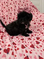 processed/29842ebf-eb62-4ff0-bb4e-a184498aef5b/listing/4d0f8d9e-d1ff-49a9-ab96-4b571a524e15/8e5a48d0-aae9-4339-90a8-f70d96afd9fd