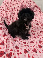 processed/29842ebf-eb62-4ff0-bb4e-a184498aef5b/listing/4d0f8d9e-d1ff-49a9-ab96-4b571a524e15/957595ab-c365-4277-be8f-7463b066d473