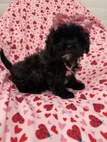 processed/29842ebf-eb62-4ff0-bb4e-a184498aef5b/listing/4d0f8d9e-d1ff-49a9-ab96-4b571a524e15/daab10ba-aafa-4027-84a8-6d5dee5c834d