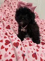 processed/29842ebf-eb62-4ff0-bb4e-a184498aef5b/listing/4d0f8d9e-d1ff-49a9-ab96-4b571a524e15/ee51b953-1f00-416f-803b-9d42f97af745