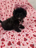 processed/29842ebf-eb62-4ff0-bb4e-a184498aef5b/listing/4d0f8d9e-d1ff-49a9-ab96-4b571a524e15/f2b675a2-cd5f-4ab3-b0db-f9af98c0e598