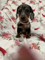 processed/29842ebf-eb62-4ff0-bb4e-a184498aef5b/listing/4d4d07b2-5f2e-448e-8297-103b8a54fda3/116f3123-7def-456b-8bf9-7d3137e6f5f1