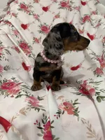 processed/29842ebf-eb62-4ff0-bb4e-a184498aef5b/listing/4d4d07b2-5f2e-448e-8297-103b8a54fda3/3b726af1-e975-4a58-9356-702d8cab3604