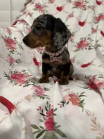 processed/29842ebf-eb62-4ff0-bb4e-a184498aef5b/listing/4d4d07b2-5f2e-448e-8297-103b8a54fda3/5a082875-9b4c-442a-8ae3-405554e01119