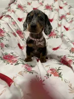 processed/29842ebf-eb62-4ff0-bb4e-a184498aef5b/listing/4d4d07b2-5f2e-448e-8297-103b8a54fda3/b6b766c2-35b9-4aaa-b037-f6674717b4dd