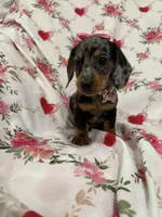 processed/29842ebf-eb62-4ff0-bb4e-a184498aef5b/listing/4d4d07b2-5f2e-448e-8297-103b8a54fda3/bdd603d1-6ba8-469e-84e2-f0c5ce8fcc33