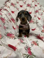 processed/29842ebf-eb62-4ff0-bb4e-a184498aef5b/listing/4d4d07b2-5f2e-448e-8297-103b8a54fda3/c7d823d3-e82d-44b9-82b2-4e5a2b3788b4