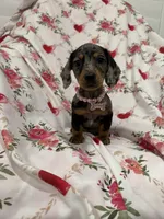 processed/29842ebf-eb62-4ff0-bb4e-a184498aef5b/listing/4d4d07b2-5f2e-448e-8297-103b8a54fda3/fd3016e7-4456-439f-b460-502882057de4