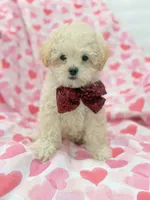 processed/29842ebf-eb62-4ff0-bb4e-a184498aef5b/listing/582a8baa-7e0e-4479-9365-19af3c76de15/06272f2a-c9f5-40c5-b81c-d2265c483126