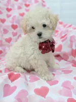 processed/29842ebf-eb62-4ff0-bb4e-a184498aef5b/listing/582a8baa-7e0e-4479-9365-19af3c76de15/3a806868-e53f-458a-a2c7-d6de5e1f3f08