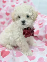 processed/29842ebf-eb62-4ff0-bb4e-a184498aef5b/listing/582a8baa-7e0e-4479-9365-19af3c76de15/52cb60f2-cbc4-4e27-beeb-8d879294e0e1