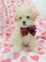 processed/29842ebf-eb62-4ff0-bb4e-a184498aef5b/listing/582a8baa-7e0e-4479-9365-19af3c76de15/af709445-a272-45c8-ba92-906a6d03b614