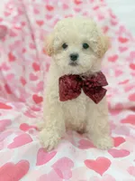 processed/29842ebf-eb62-4ff0-bb4e-a184498aef5b/listing/582a8baa-7e0e-4479-9365-19af3c76de15/b1888550-8ab2-403b-b807-d2c4599d648e