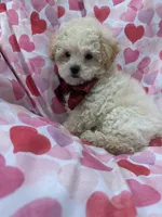 processed/29842ebf-eb62-4ff0-bb4e-a184498aef5b/listing/582a8baa-7e0e-4479-9365-19af3c76de15/f15b4e39-08b9-4451-a685-5250ba62dfcc