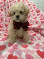 processed/29842ebf-eb62-4ff0-bb4e-a184498aef5b/listing/582a8baa-7e0e-4479-9365-19af3c76de15/fe6bbd32-d84e-4767-a5d9-ad8fa86c22f6