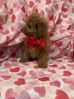 processed/29842ebf-eb62-4ff0-bb4e-a184498aef5b/listing/6cb4d517-21f9-4c9e-97f9-3507091b00b0/28b3e94a-5335-496f-bdfc-a308fbf5e6a7