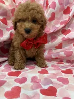 processed/29842ebf-eb62-4ff0-bb4e-a184498aef5b/listing/6cb4d517-21f9-4c9e-97f9-3507091b00b0/39bb69ae-e50c-4a88-a65f-9f8ce03ae9d0