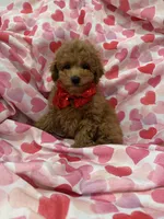 processed/29842ebf-eb62-4ff0-bb4e-a184498aef5b/listing/6cb4d517-21f9-4c9e-97f9-3507091b00b0/6d4f8cbc-49c6-438f-8af3-f5e340f12be3