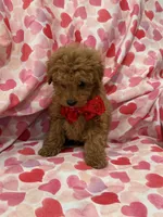 processed/29842ebf-eb62-4ff0-bb4e-a184498aef5b/listing/6cb4d517-21f9-4c9e-97f9-3507091b00b0/6ecfaa90-e39c-4c57-89c9-3b33acabe31d