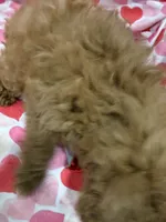 processed/29842ebf-eb62-4ff0-bb4e-a184498aef5b/listing/6cb4d517-21f9-4c9e-97f9-3507091b00b0/89c24a45-30e6-4fff-ab7e-6babbc2df533