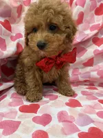 processed/29842ebf-eb62-4ff0-bb4e-a184498aef5b/listing/6cb4d517-21f9-4c9e-97f9-3507091b00b0/97f053af-f05d-4681-9a4c-550ecf3ae58b