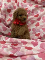 processed/29842ebf-eb62-4ff0-bb4e-a184498aef5b/listing/6cb4d517-21f9-4c9e-97f9-3507091b00b0/fc4f2441-e1b9-4ac2-9604-9b9d7cc42307