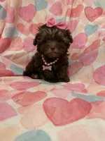 processed/29842ebf-eb62-4ff0-bb4e-a184498aef5b/listing/8b126cf3-7d28-4dc7-8024-c7f4b7d9d42c/082958f1-a82f-4a4b-bc9f-950c9722add7