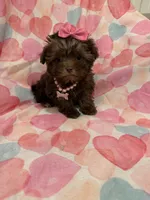 processed/29842ebf-eb62-4ff0-bb4e-a184498aef5b/listing/8b126cf3-7d28-4dc7-8024-c7f4b7d9d42c/082e1bc6-8587-4216-abf8-1735385ef4b5