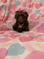 processed/29842ebf-eb62-4ff0-bb4e-a184498aef5b/listing/8b126cf3-7d28-4dc7-8024-c7f4b7d9d42c/38ce9894-3c00-4f80-863f-d8da61f389fd