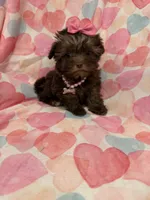 processed/29842ebf-eb62-4ff0-bb4e-a184498aef5b/listing/8b126cf3-7d28-4dc7-8024-c7f4b7d9d42c/44bba993-8ff0-4136-b8f5-4d4e8bf2253d