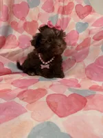 processed/29842ebf-eb62-4ff0-bb4e-a184498aef5b/listing/8b126cf3-7d28-4dc7-8024-c7f4b7d9d42c/45bffc49-0ef5-453c-bd5a-8a34f678a080