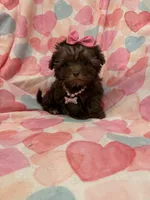 processed/29842ebf-eb62-4ff0-bb4e-a184498aef5b/listing/8b126cf3-7d28-4dc7-8024-c7f4b7d9d42c/5d4bbd00-fd51-43c0-8c0a-ce8ac19c9777