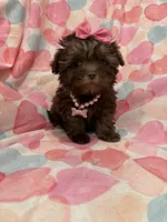 processed/29842ebf-eb62-4ff0-bb4e-a184498aef5b/listing/8b126cf3-7d28-4dc7-8024-c7f4b7d9d42c/6332bf5b-4a34-416b-addf-09cb304d71b2