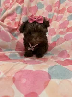 processed/29842ebf-eb62-4ff0-bb4e-a184498aef5b/listing/8b126cf3-7d28-4dc7-8024-c7f4b7d9d42c/7f518342-e88d-4166-ba69-e85eaf112500