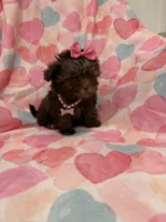 processed/29842ebf-eb62-4ff0-bb4e-a184498aef5b/listing/8b126cf3-7d28-4dc7-8024-c7f4b7d9d42c/eaea3fd8-49a7-46aa-b266-752a43cbb7ce