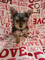 processed/29842ebf-eb62-4ff0-bb4e-a184498aef5b/listing/a8d47896-3ad6-4b13-8d6a-e69a5ab13e00/1d9dbe3f-9b57-4e0b-890f-df0f122227ac