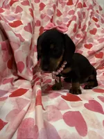 processed/29842ebf-eb62-4ff0-bb4e-a184498aef5b/listing/ab01b3c9-5f99-43eb-aab4-81a67f4b09d5/8cadfc05-6f0c-4656-a2d7-4671bb238c68