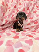 processed/29842ebf-eb62-4ff0-bb4e-a184498aef5b/listing/ab01b3c9-5f99-43eb-aab4-81a67f4b09d5/9648204c-4d14-4480-8430-64b816ef587a