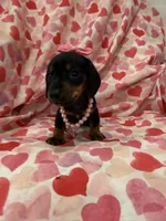 processed/29842ebf-eb62-4ff0-bb4e-a184498aef5b/listing/ab01b3c9-5f99-43eb-aab4-81a67f4b09d5/a7c6fa8f-26dd-43fb-a628-ec8b30768ab2