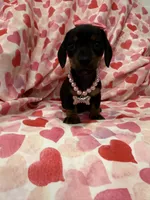 processed/29842ebf-eb62-4ff0-bb4e-a184498aef5b/listing/ab01b3c9-5f99-43eb-aab4-81a67f4b09d5/ad58963d-0d10-4f7e-8224-960539073fc3