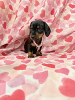 processed/29842ebf-eb62-4ff0-bb4e-a184498aef5b/listing/ab01b3c9-5f99-43eb-aab4-81a67f4b09d5/d4ba5568-0e43-4733-8f47-4f389d1adffc