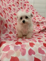 processed/29842ebf-eb62-4ff0-bb4e-a184498aef5b/listing/c787ca6f-8521-40ce-b2a4-87d30b644ff5/433e7220-5939-4ada-9950-3a70022e0ecb