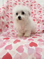 processed/29842ebf-eb62-4ff0-bb4e-a184498aef5b/listing/c787ca6f-8521-40ce-b2a4-87d30b644ff5/51c54326-1cdb-43ca-a549-270f12897781