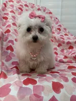 processed/29842ebf-eb62-4ff0-bb4e-a184498aef5b/listing/c787ca6f-8521-40ce-b2a4-87d30b644ff5/bd8ce121-d900-422e-b467-6746685ab209