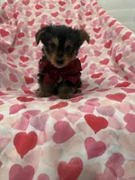 processed/29842ebf-eb62-4ff0-bb4e-a184498aef5b/listing/d46f609c-a38d-4828-b2cc-4fcedb70d4e4/2da9354e-fb4e-4e3c-b988-393a8b701cce