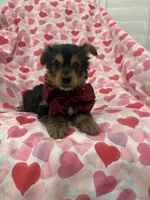 processed/29842ebf-eb62-4ff0-bb4e-a184498aef5b/listing/d46f609c-a38d-4828-b2cc-4fcedb70d4e4/2dbe6a38-ca7d-4fea-aeb2-97e30558727a