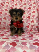 processed/29842ebf-eb62-4ff0-bb4e-a184498aef5b/listing/d46f609c-a38d-4828-b2cc-4fcedb70d4e4/456d2fed-6994-48b4-bab6-6e46bbdd8925