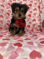 processed/29842ebf-eb62-4ff0-bb4e-a184498aef5b/listing/d46f609c-a38d-4828-b2cc-4fcedb70d4e4/c85f03a7-86c6-44b1-9190-cb8b1a1d335c